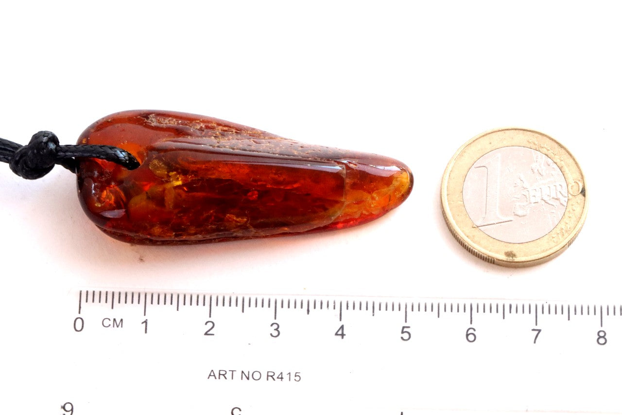 Natural Amber Amulet with Adjustable Cord + FREE Extra Pendant!