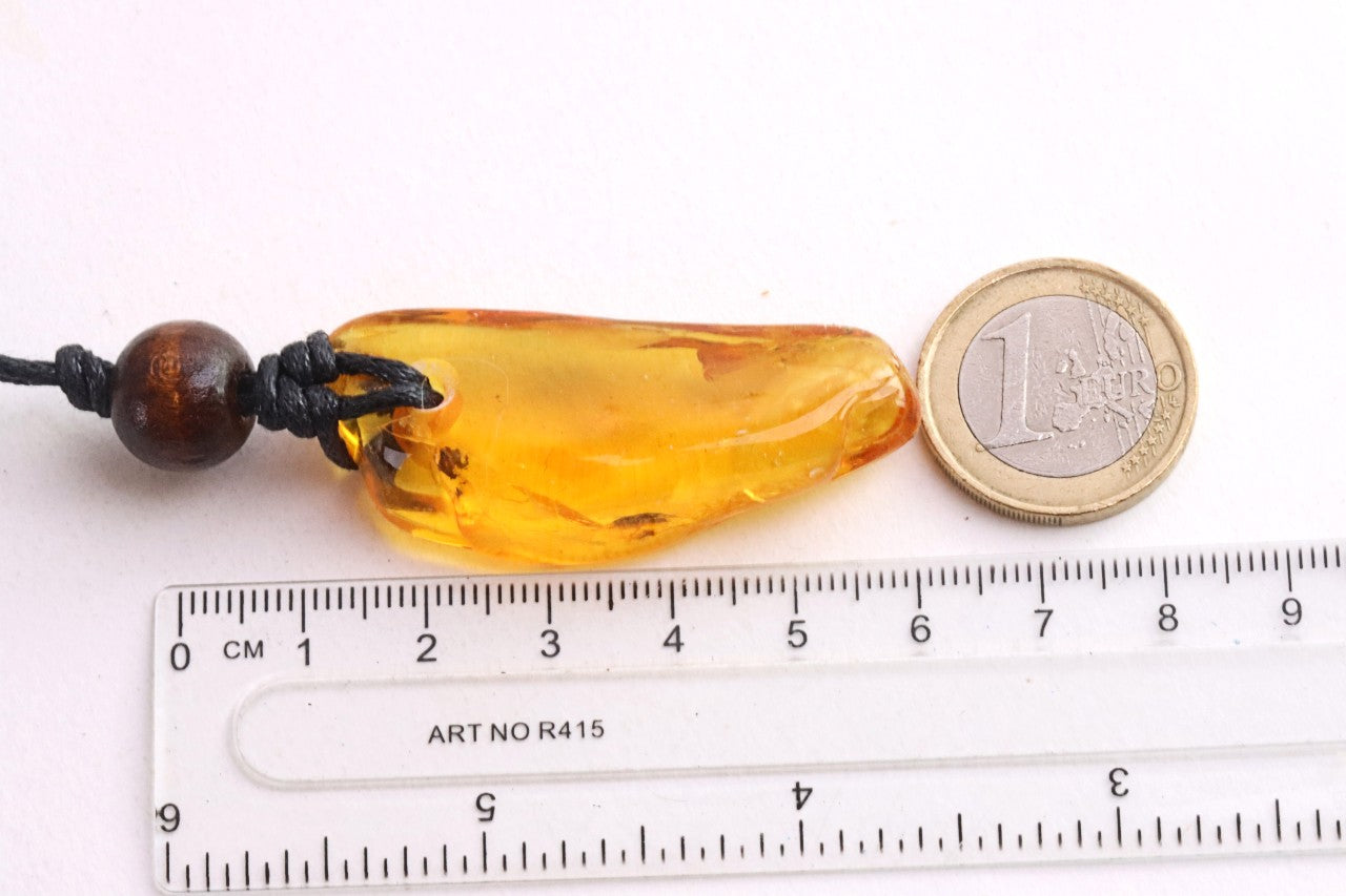 Baltic Amber Amulet with 3 Insect Inclusions & Wooden Bead –