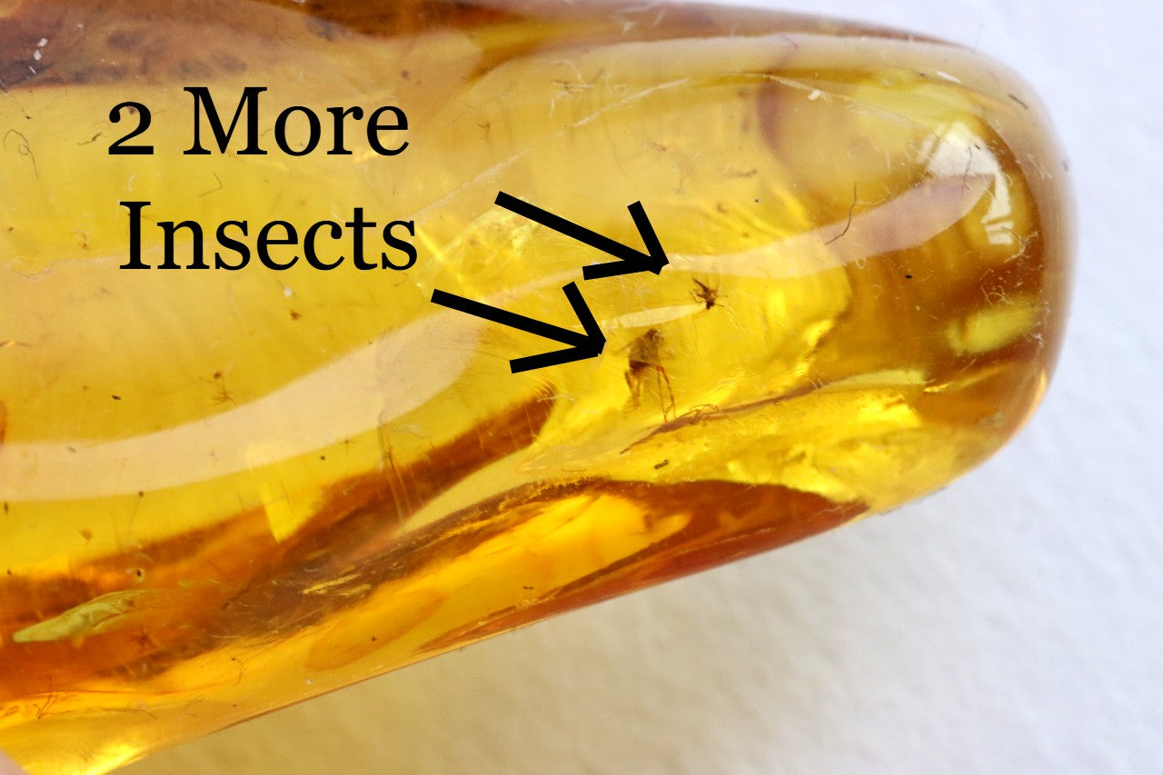 Baltic Amber Amulet with 3 Insect Inclusions & Wooden Bead –