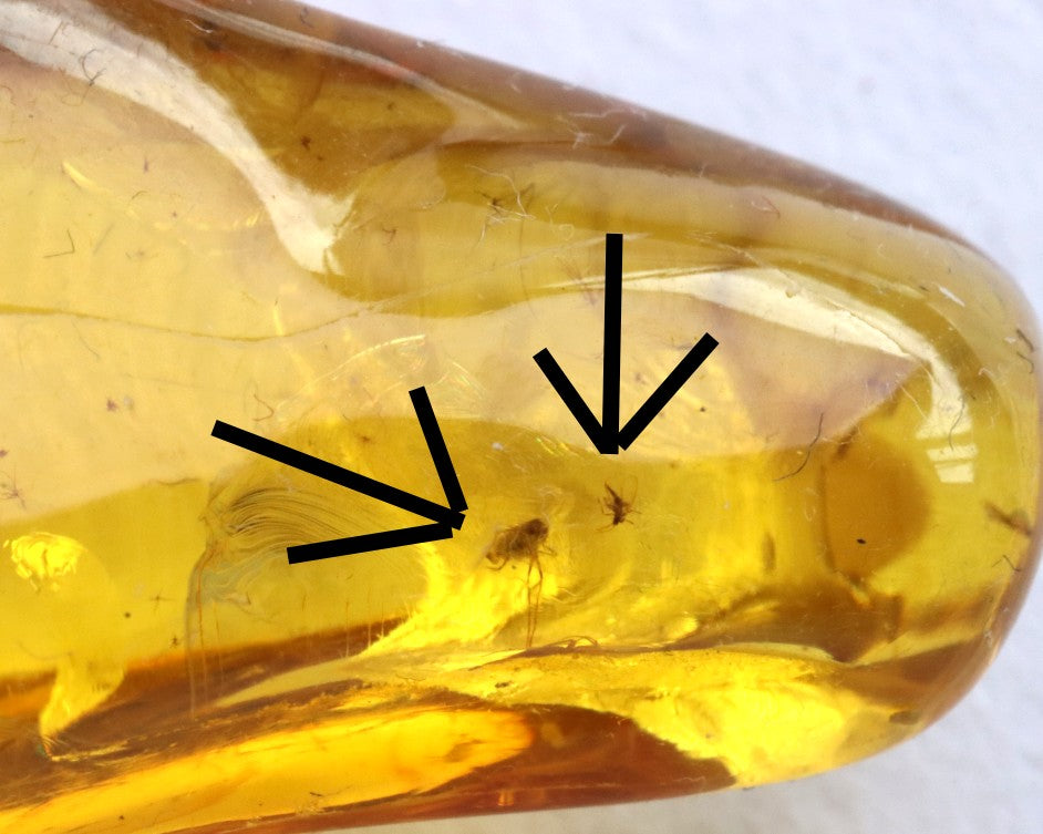 Baltic Amber Amulet with 3 Insect Inclusions & Wooden Bead –