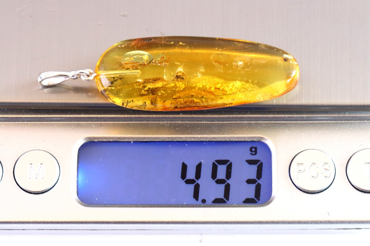 Natural Amber Gemstone Pendant with Insect Inclusion on Sterling Silver