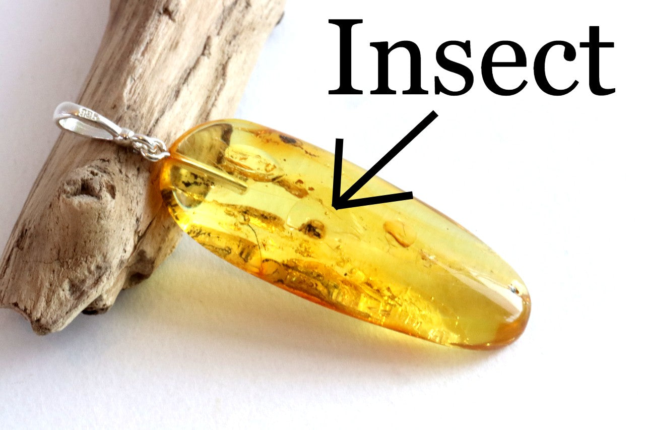 Natural Amber Gemstone Pendant with Insect Inclusion on Sterling Silver