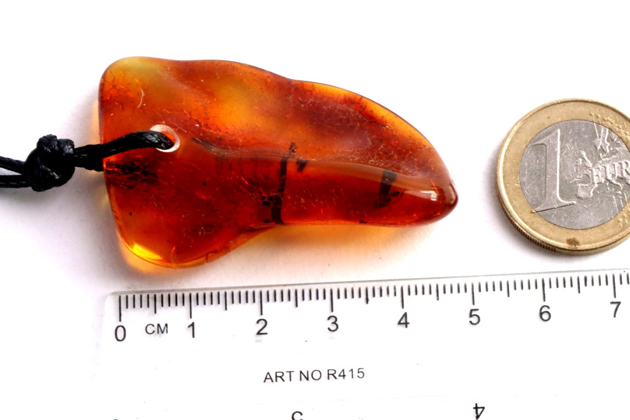 Amber Amulet with Natural Fossilised Tree Branch Inclusion