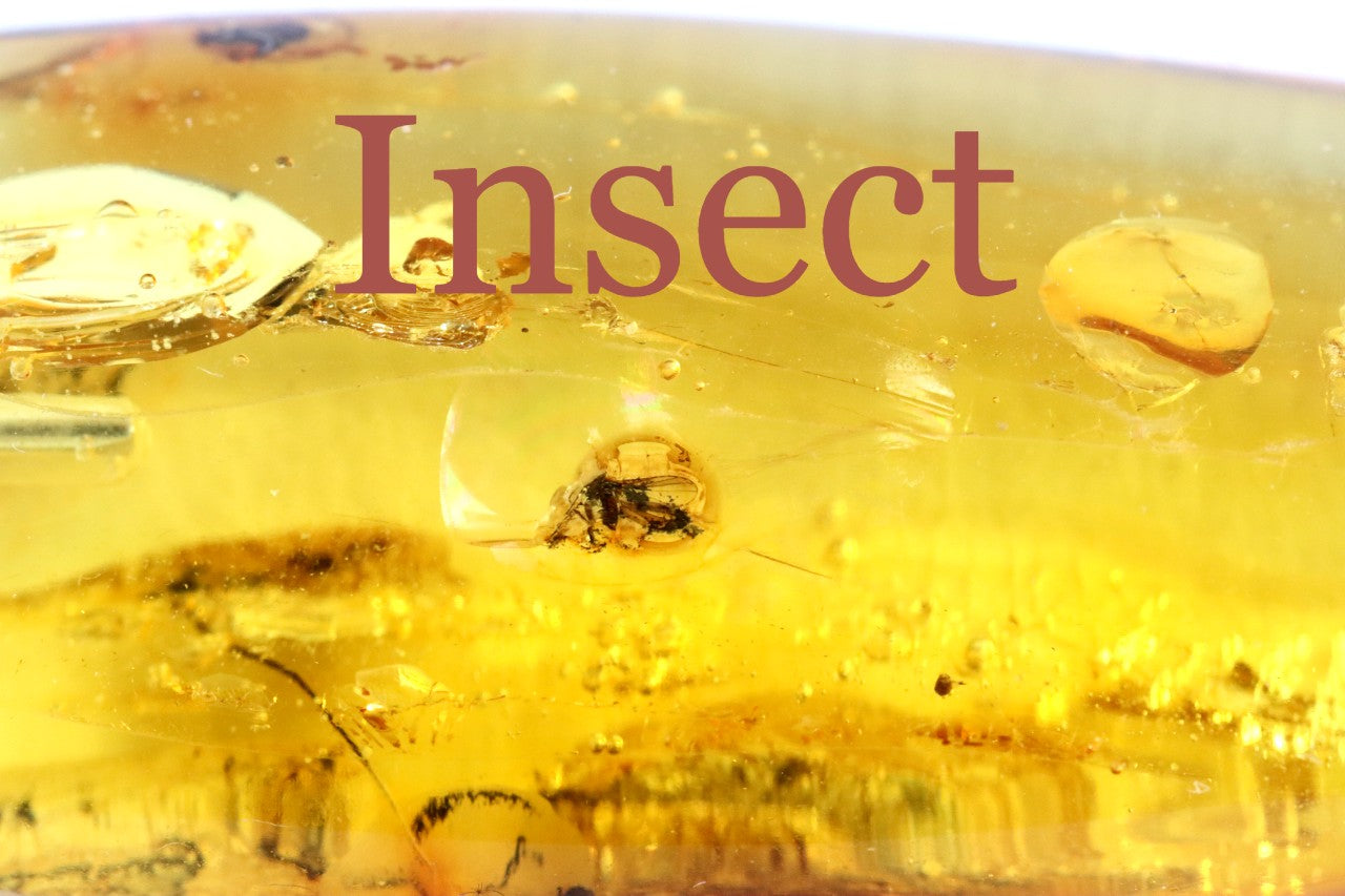 Natural Amber Gemstone Pendant with Insect Inclusion on Sterling Silver