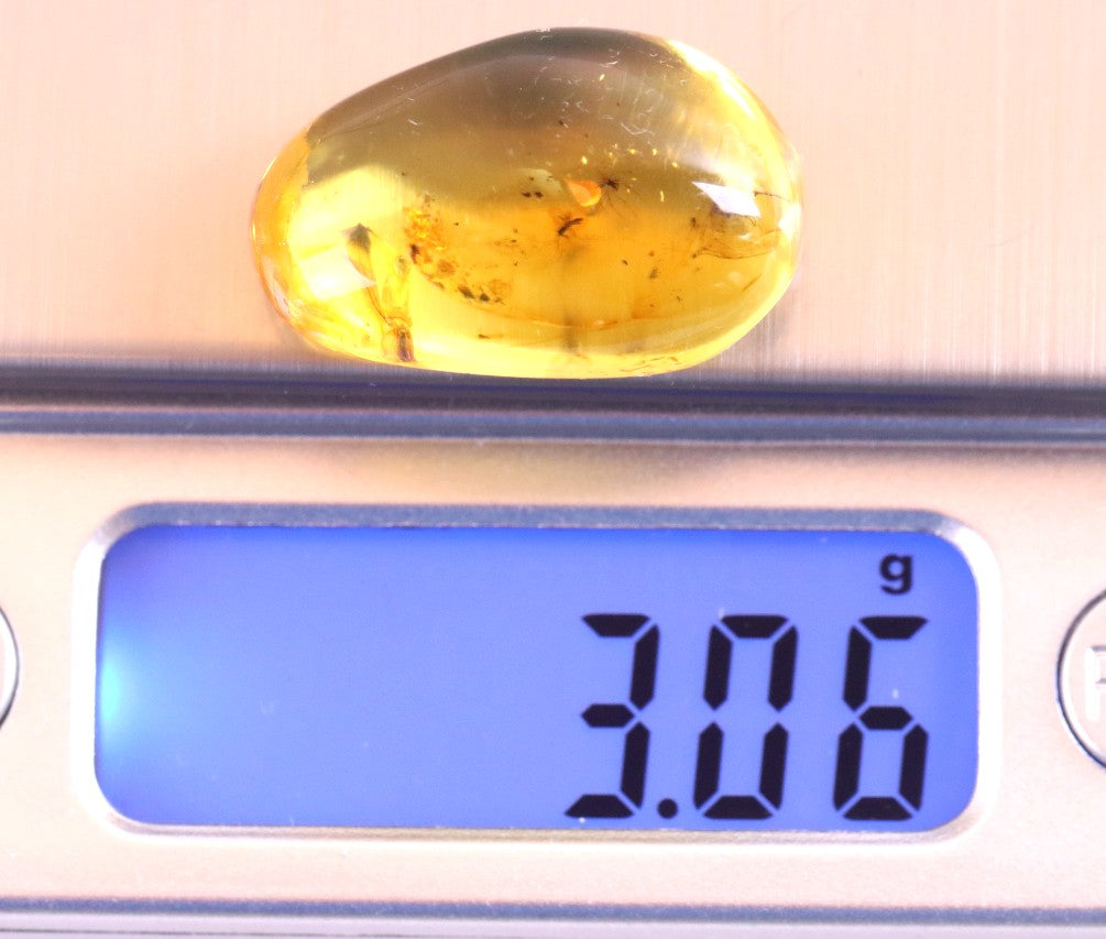 Baltic Amber Collector’s Gem with 4 Insects in this piece