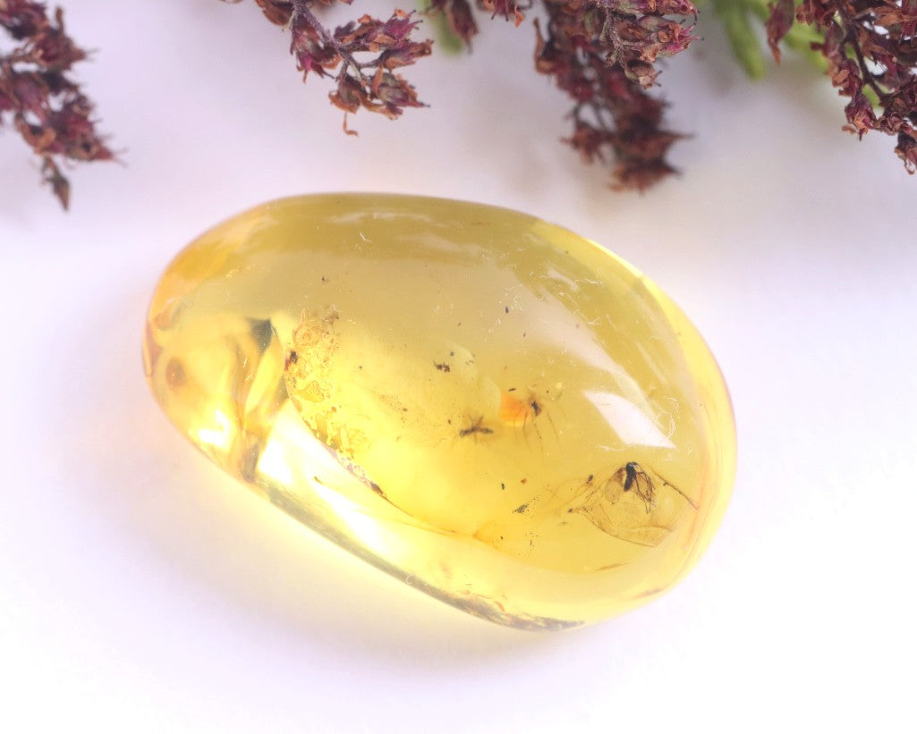 Baltic Amber Collector’s Gem with 4 Insects in this piece