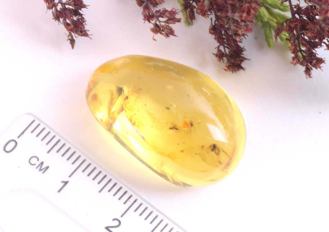 Baltic Amber Collector’s Gem with 4 Insects in this piece