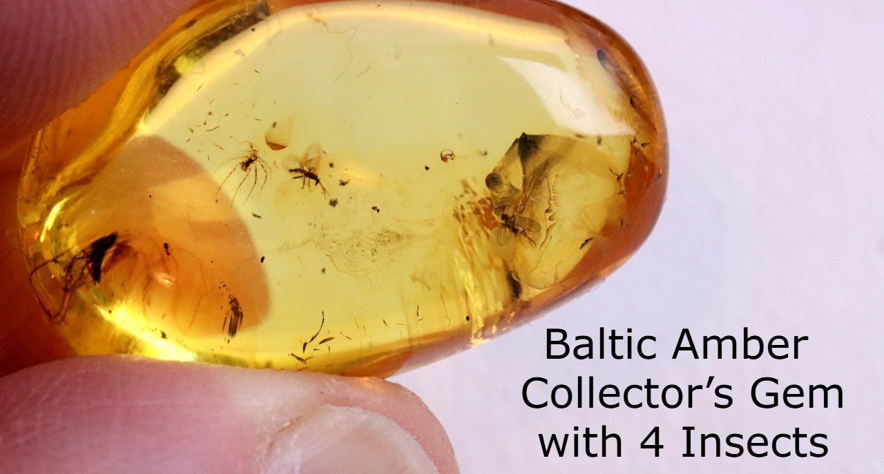 Baltic Amber Collector’s Gem with 4 Insects in this piece