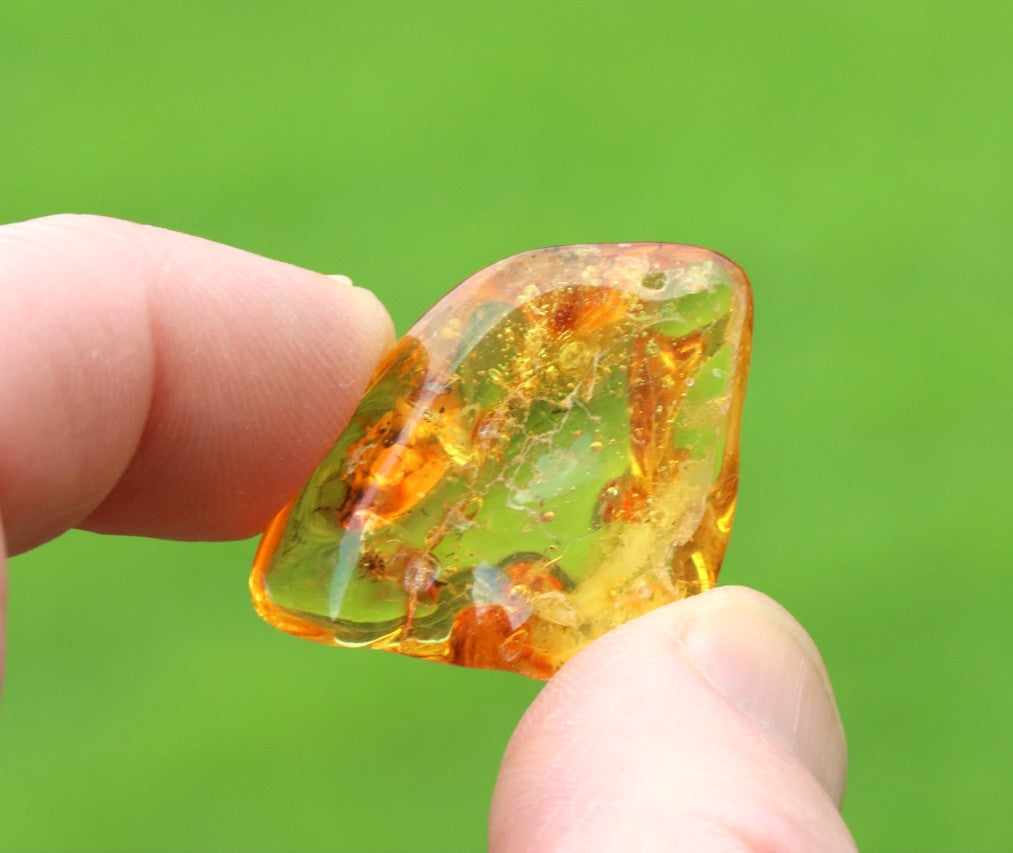Baltic Amber with Small Spider Inclusion