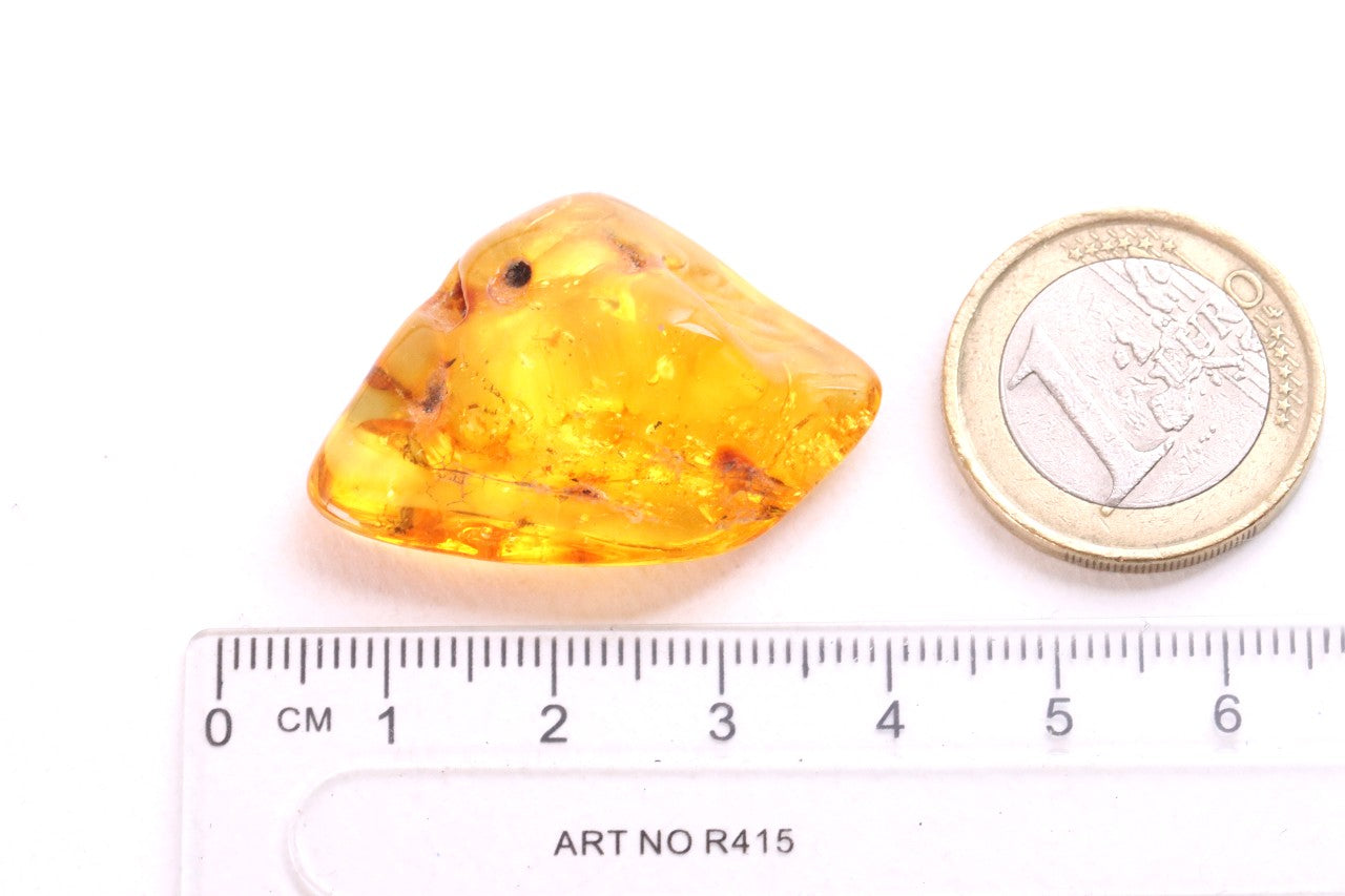 Baltic Amber with Small Spider Inclusion