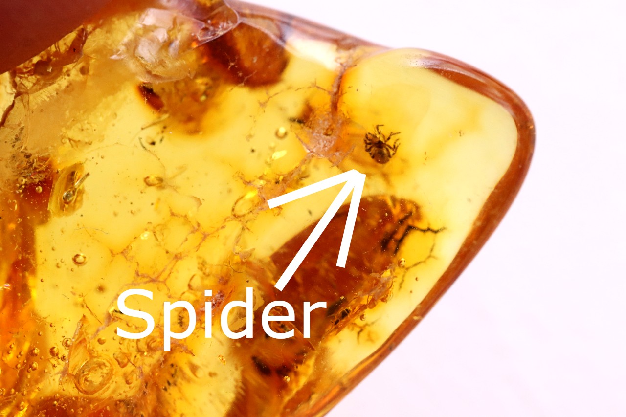 Baltic Amber with Small Spider Inclusion