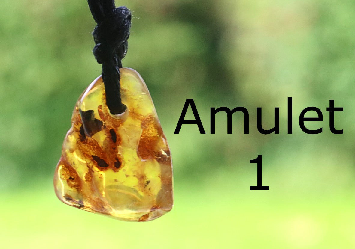 Family Gift Set – 5 Natural Baltic Amber Pendants