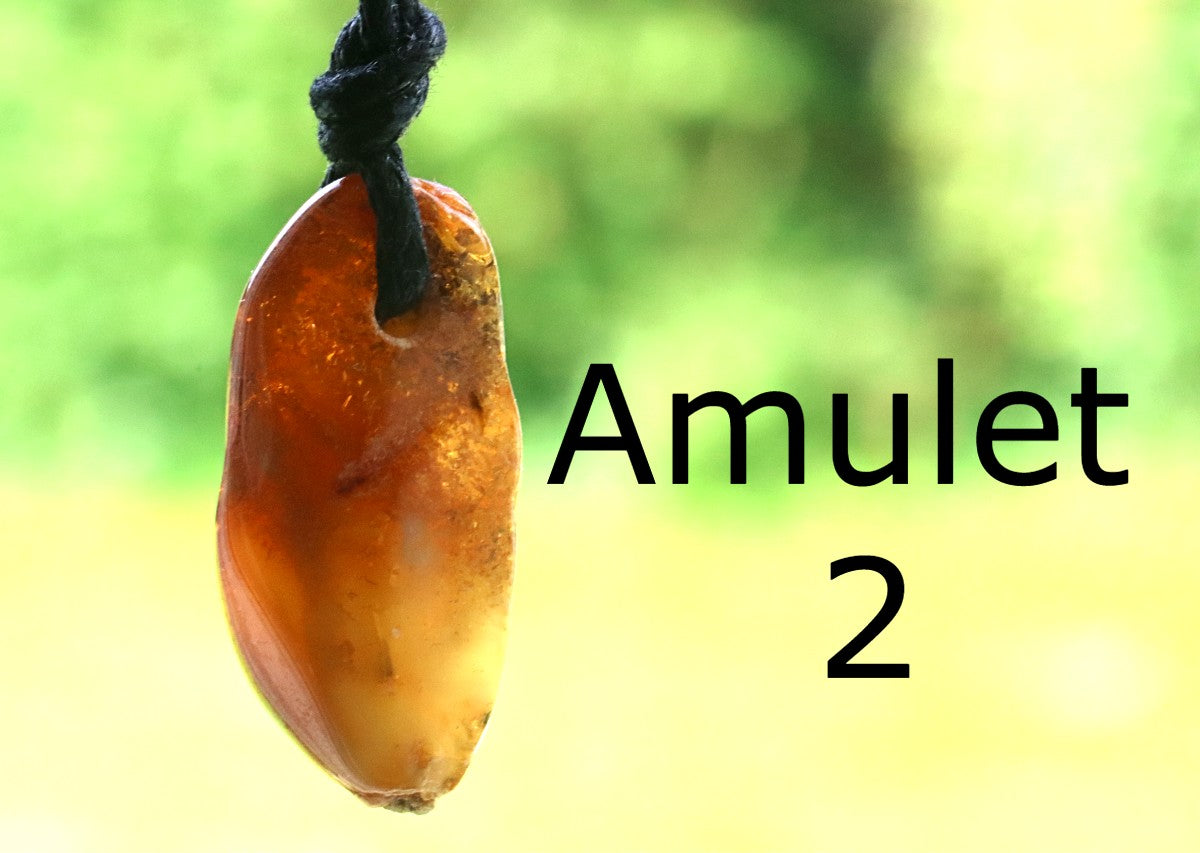 Family Gift Set – 5 Natural Baltic Amber Pendants