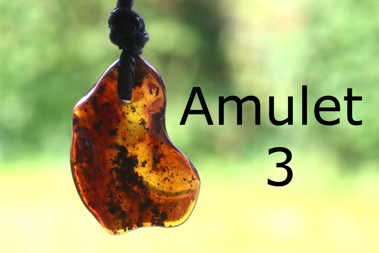 Family Gift Set – 5 Natural Baltic Amber Pendants