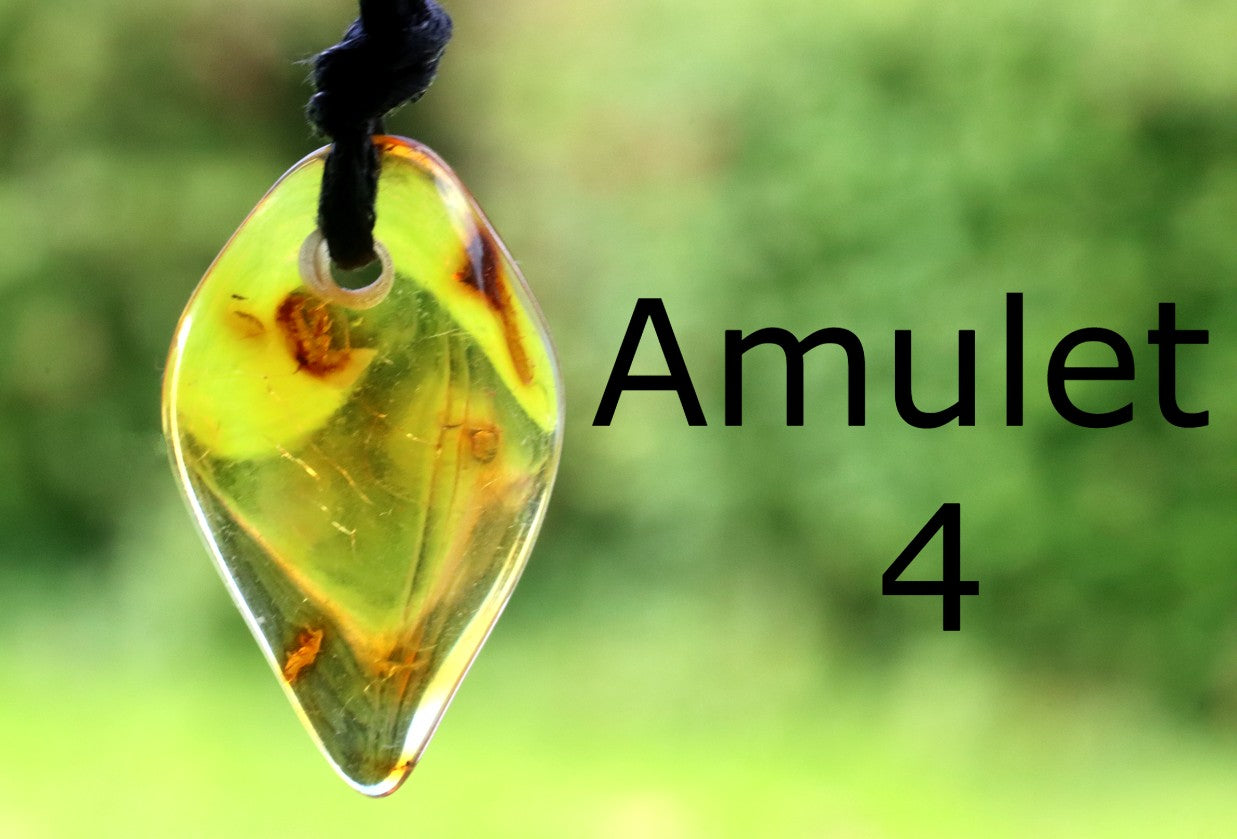 Family Gift Set – 5 Natural Baltic Amber Pendants