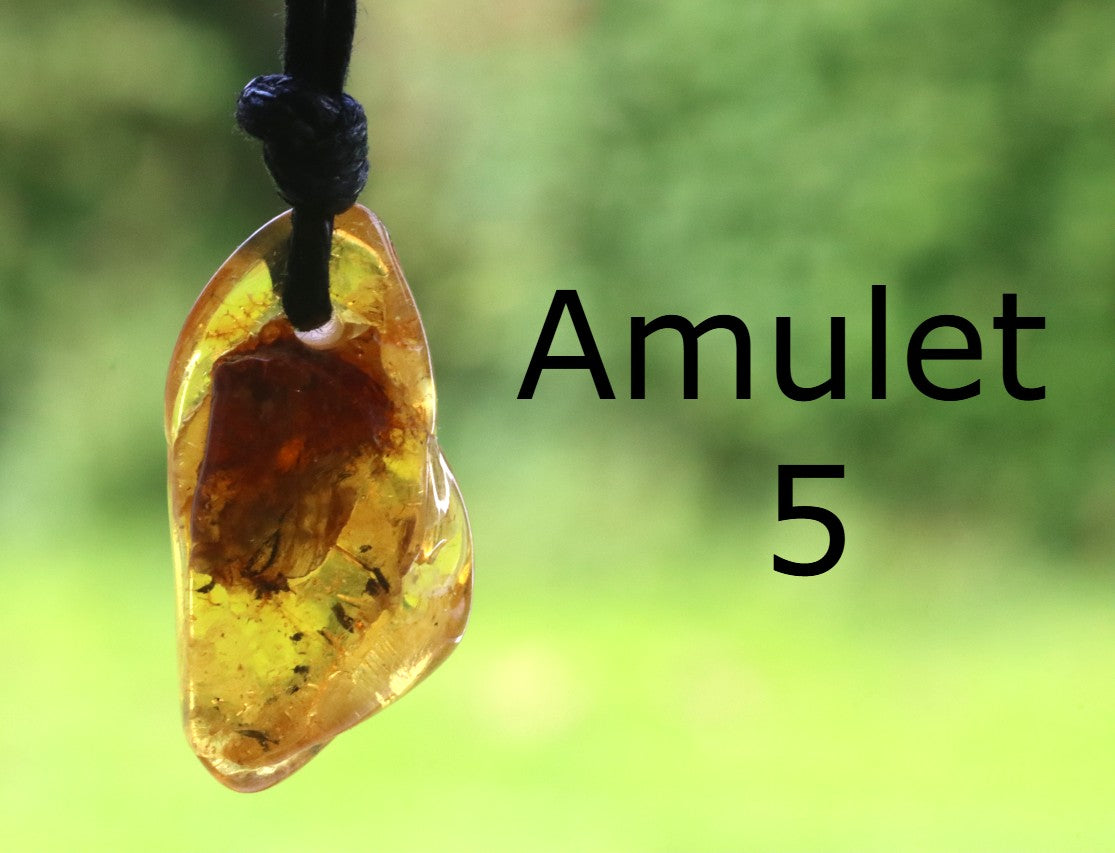 Family Gift Set – 5 Natural Baltic Amber Pendants