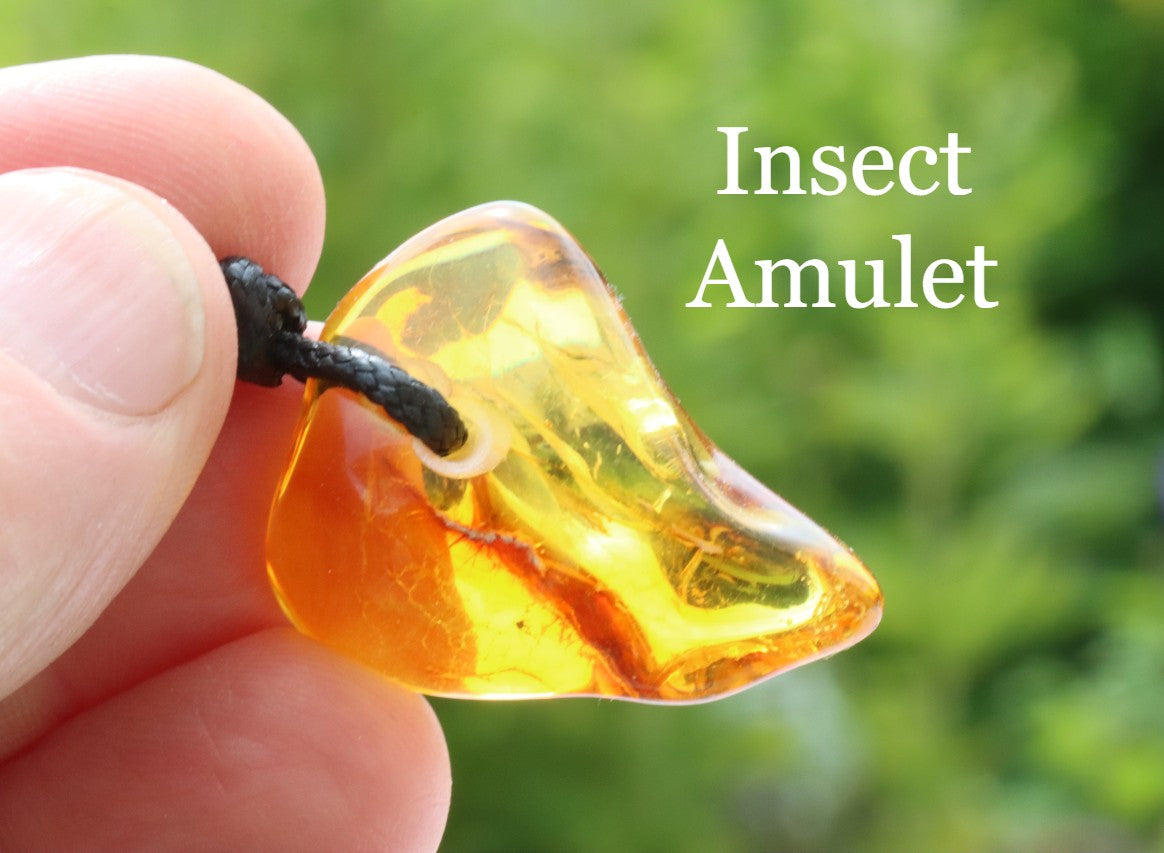 Baltic Amber Gem with Insect Inclusion Amulet