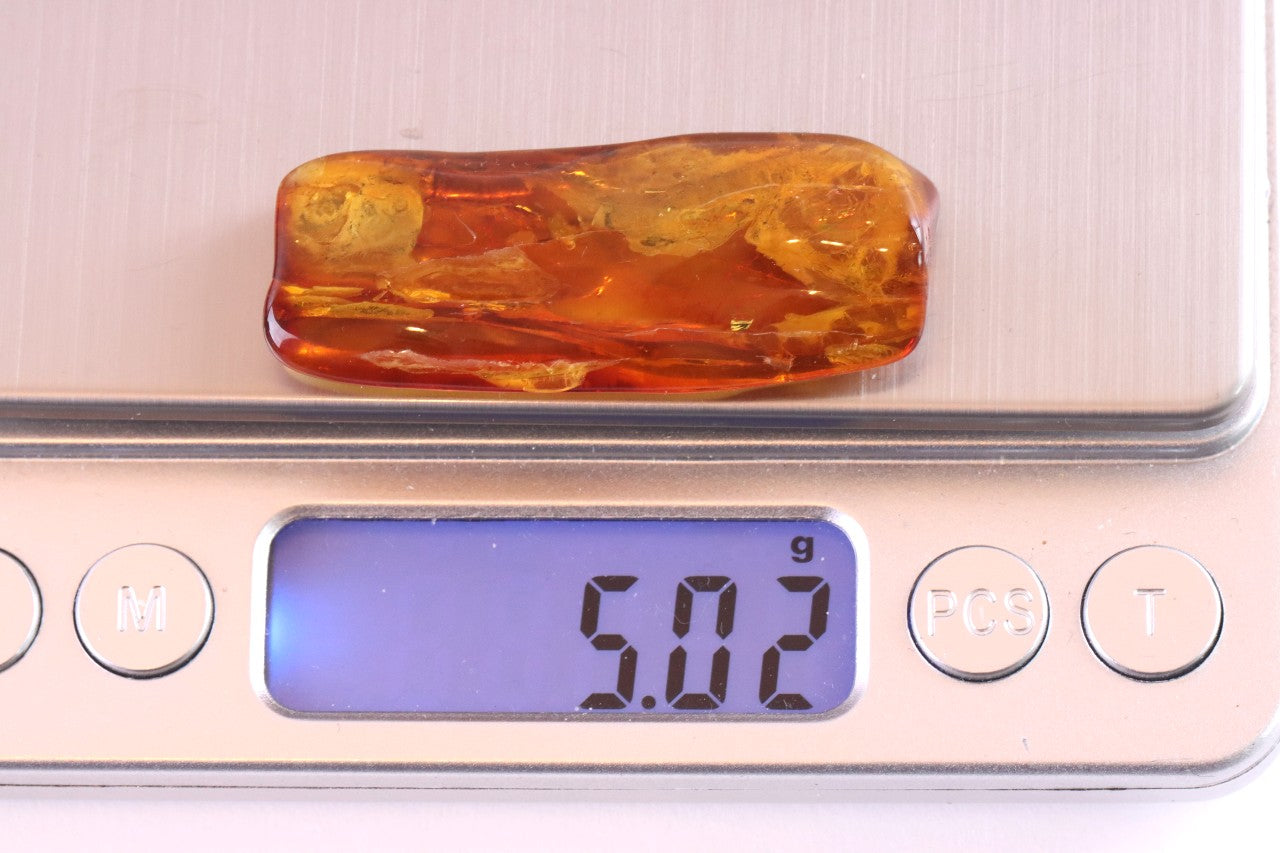 2 X Insect Inclusion in Baltic Amber – Rare Eocene Insect Fossil