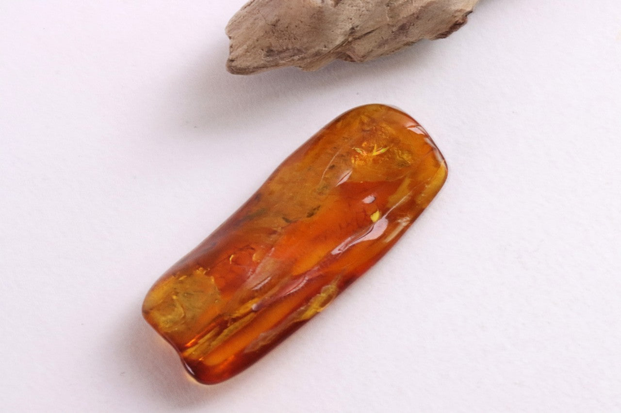 2 X Insect Inclusion in Baltic Amber – Rare Eocene Insect Fossil