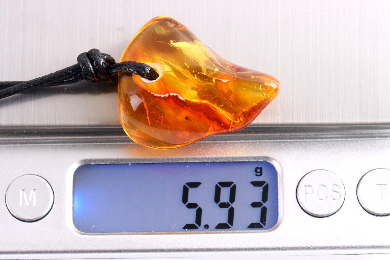 Baltic Amber Gem with Insect Inclusion Amulet