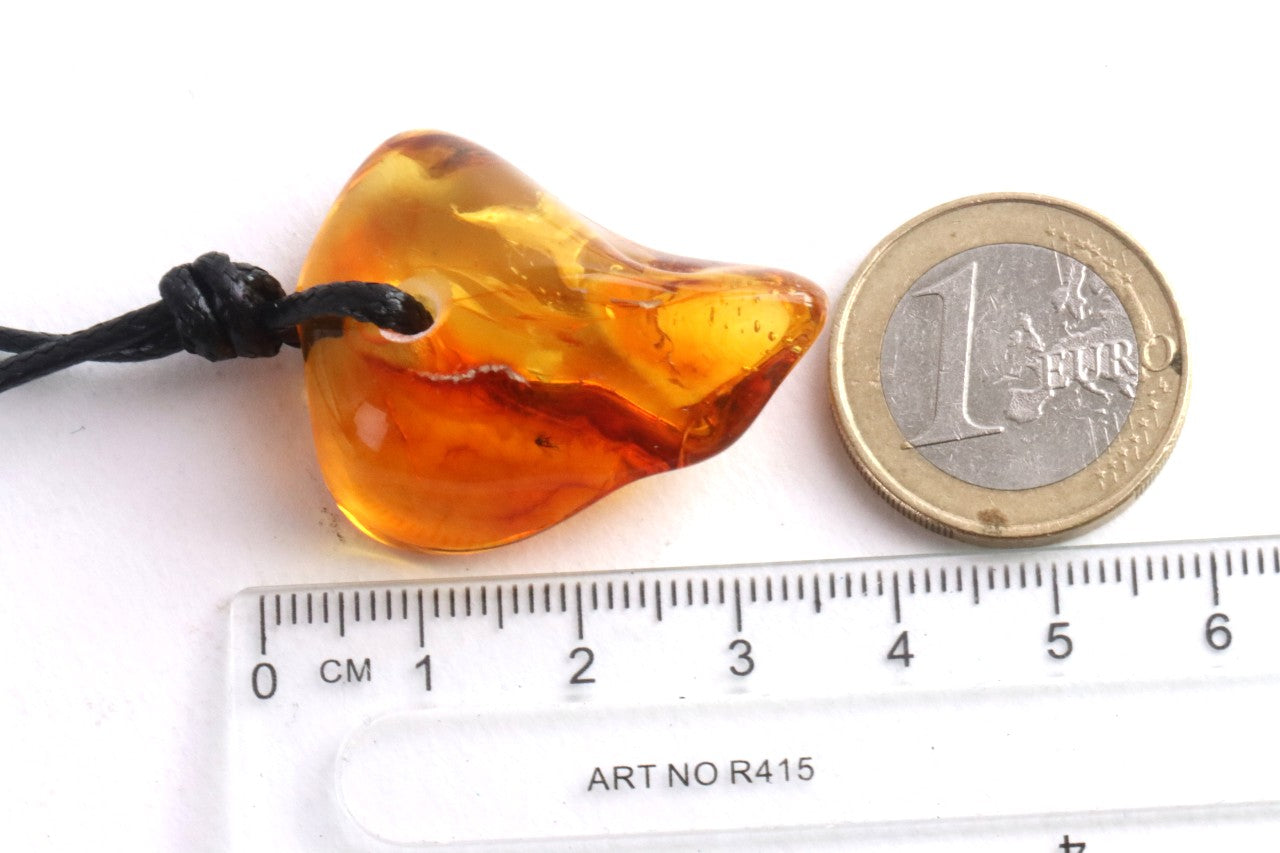 Baltic Amber Gem with Insect Inclusion Amulet