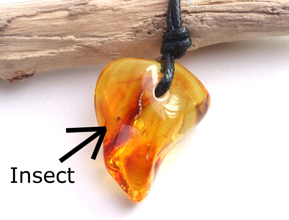 Baltic Amber Gem with Insect Inclusion Amulet