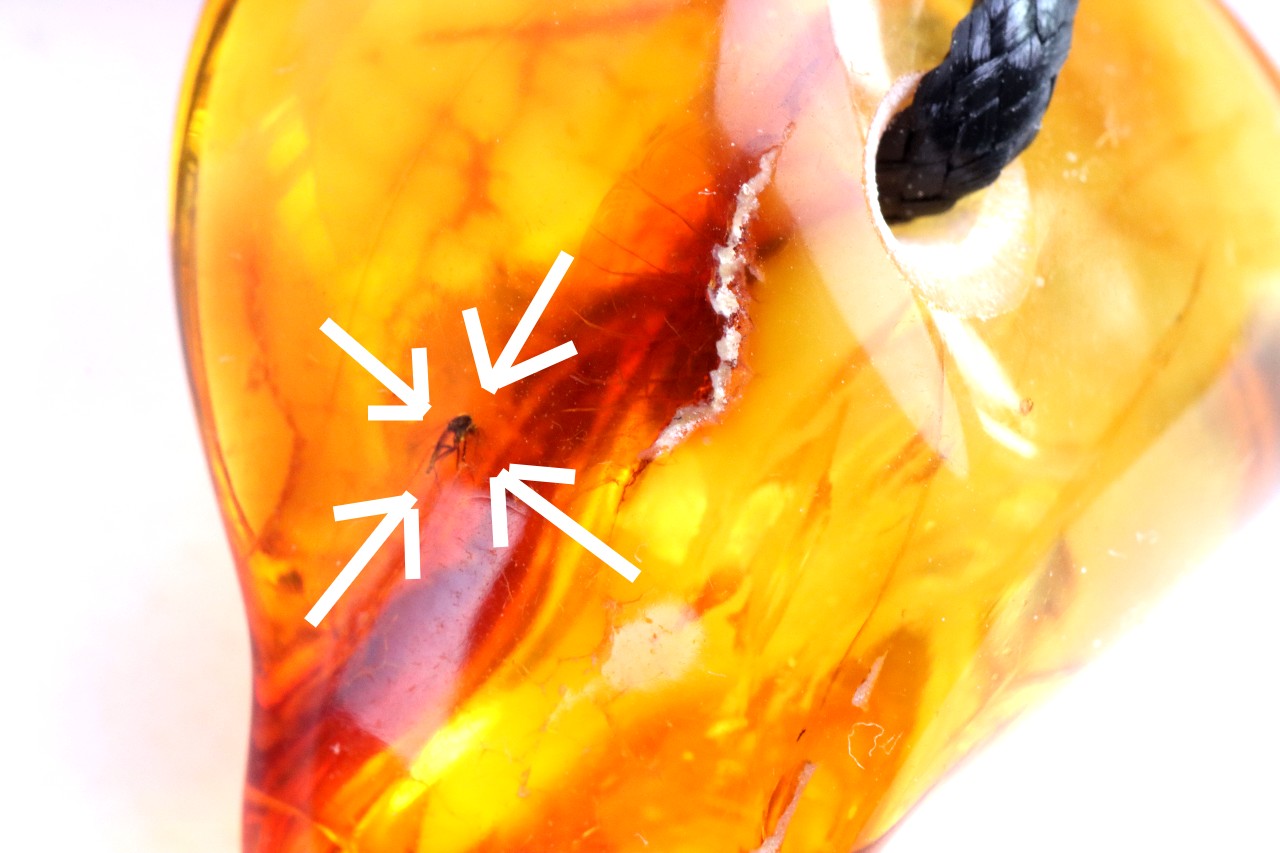 Baltic Amber Gem with Insect Inclusion Amulet