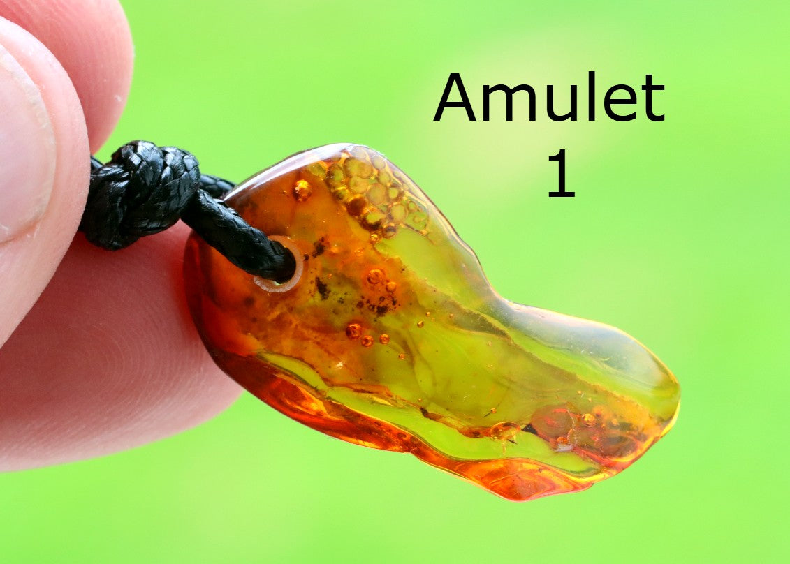 Special Offer Amber Amulet Gift Pair to Share