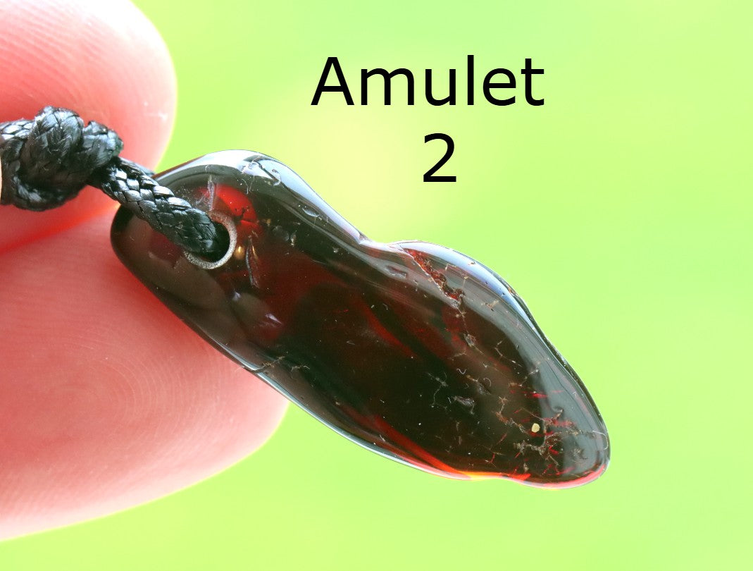 Special Offer Amber Amulet Gift Pair to Share