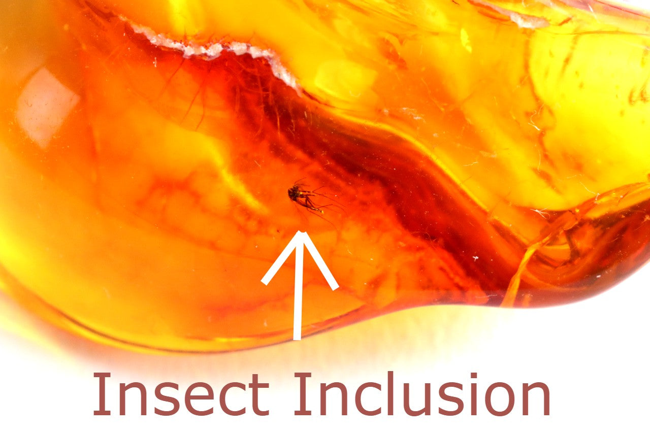 Baltic Amber Gem with Insect Inclusion Amulet