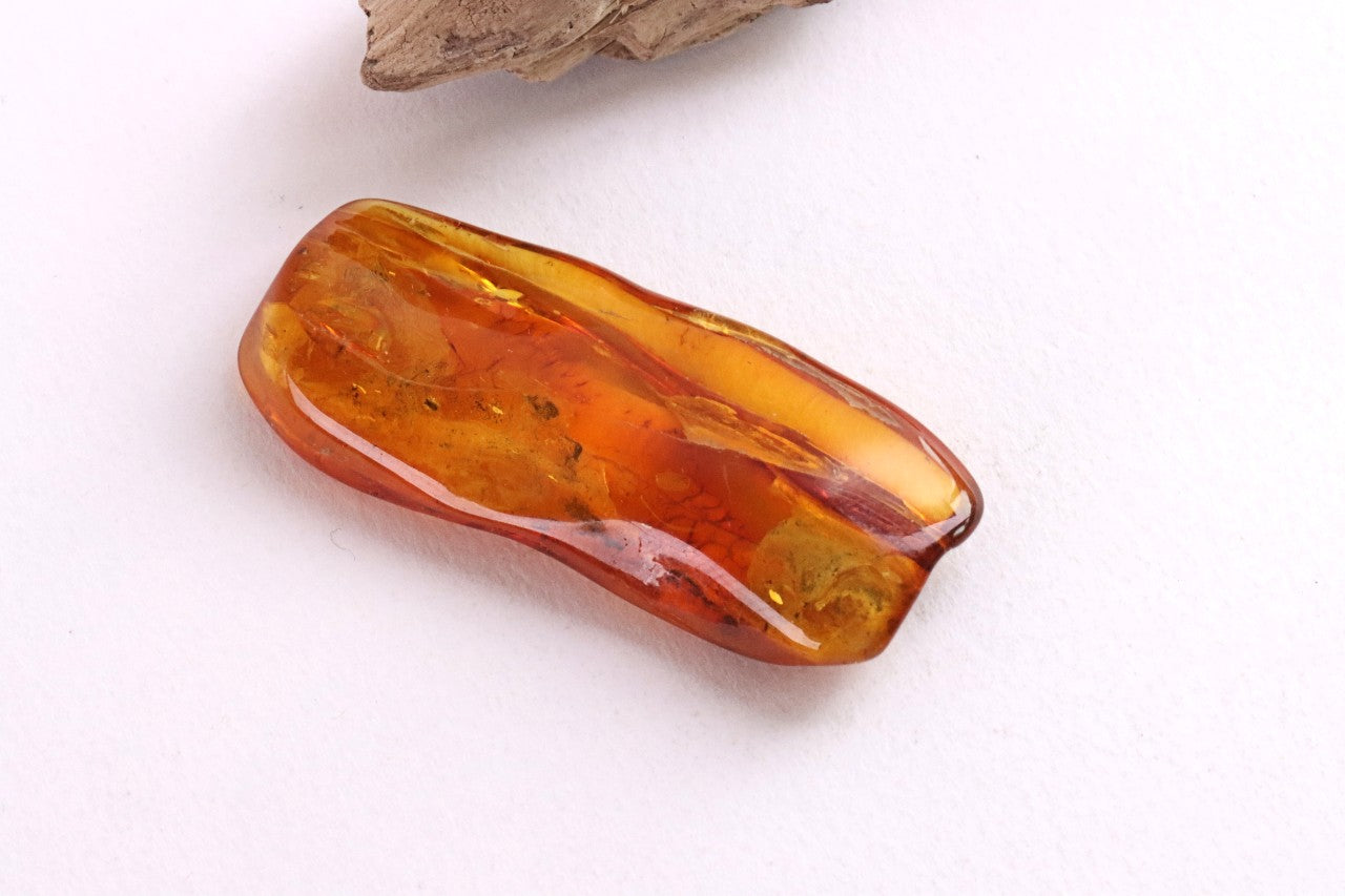 2 X Insect Inclusion in Baltic Amber – Rare Eocene Insect Fossil