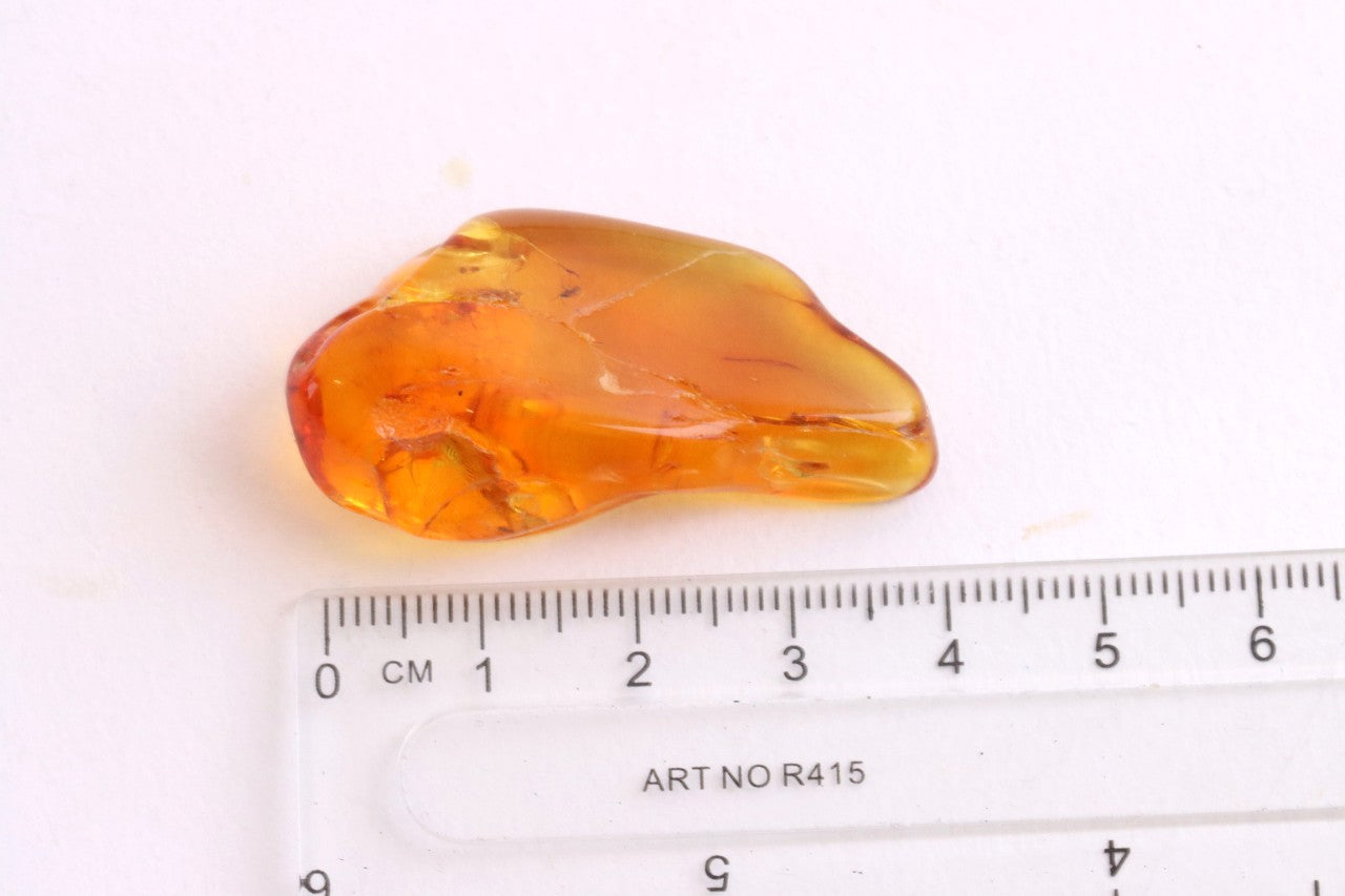 Baltic Amber Gemstone with 40 Million-Year-Old Fly Inclusion