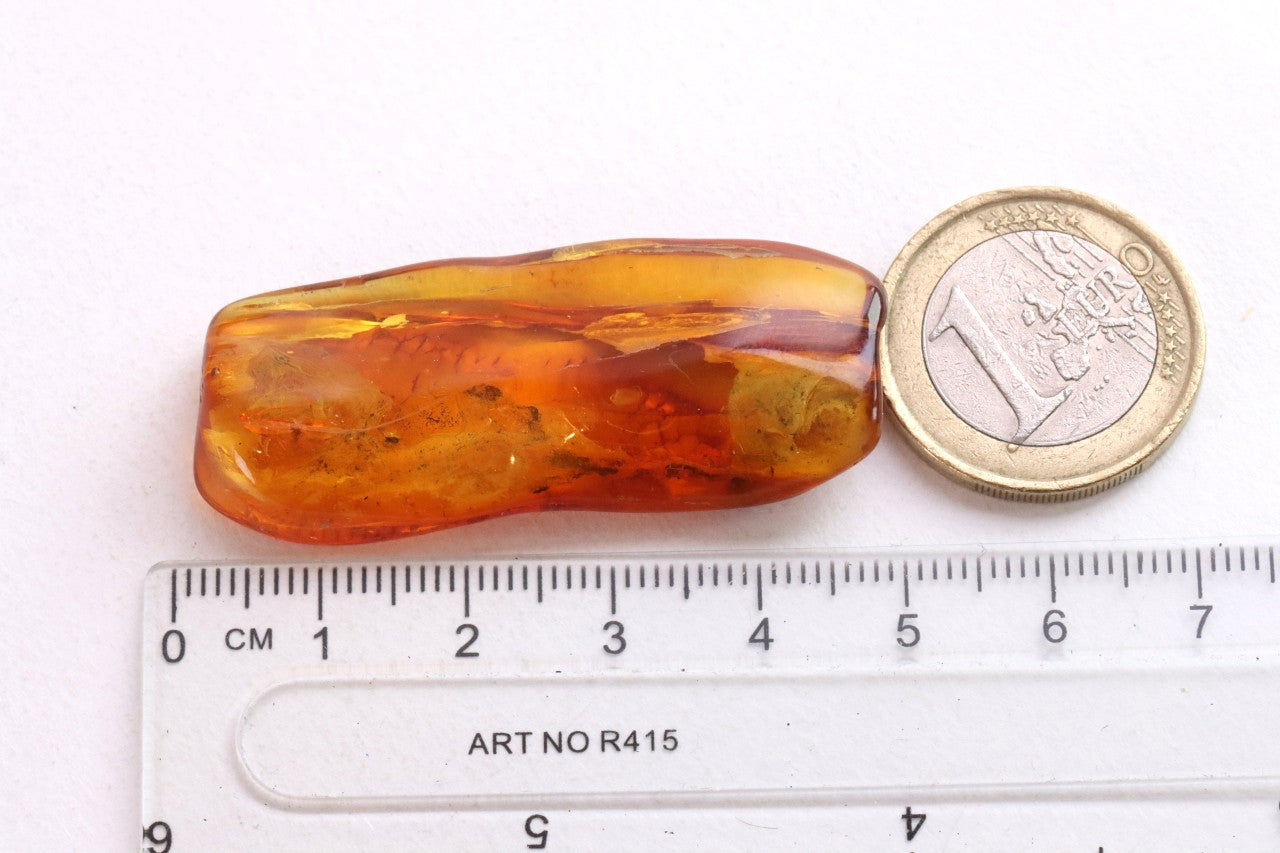 2 X Insect Inclusion in Baltic Amber – Rare Eocene Insect Fossil