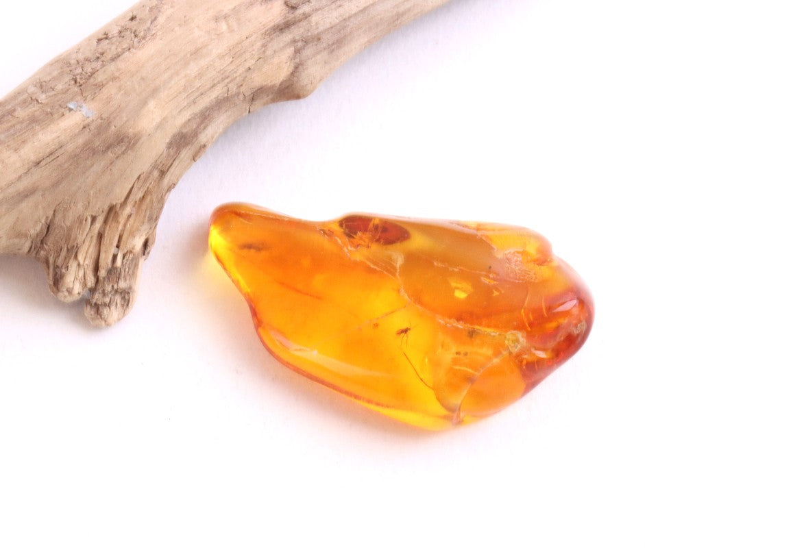 Baltic Amber Gemstone with 40 Million-Year-Old Fly Inclusion