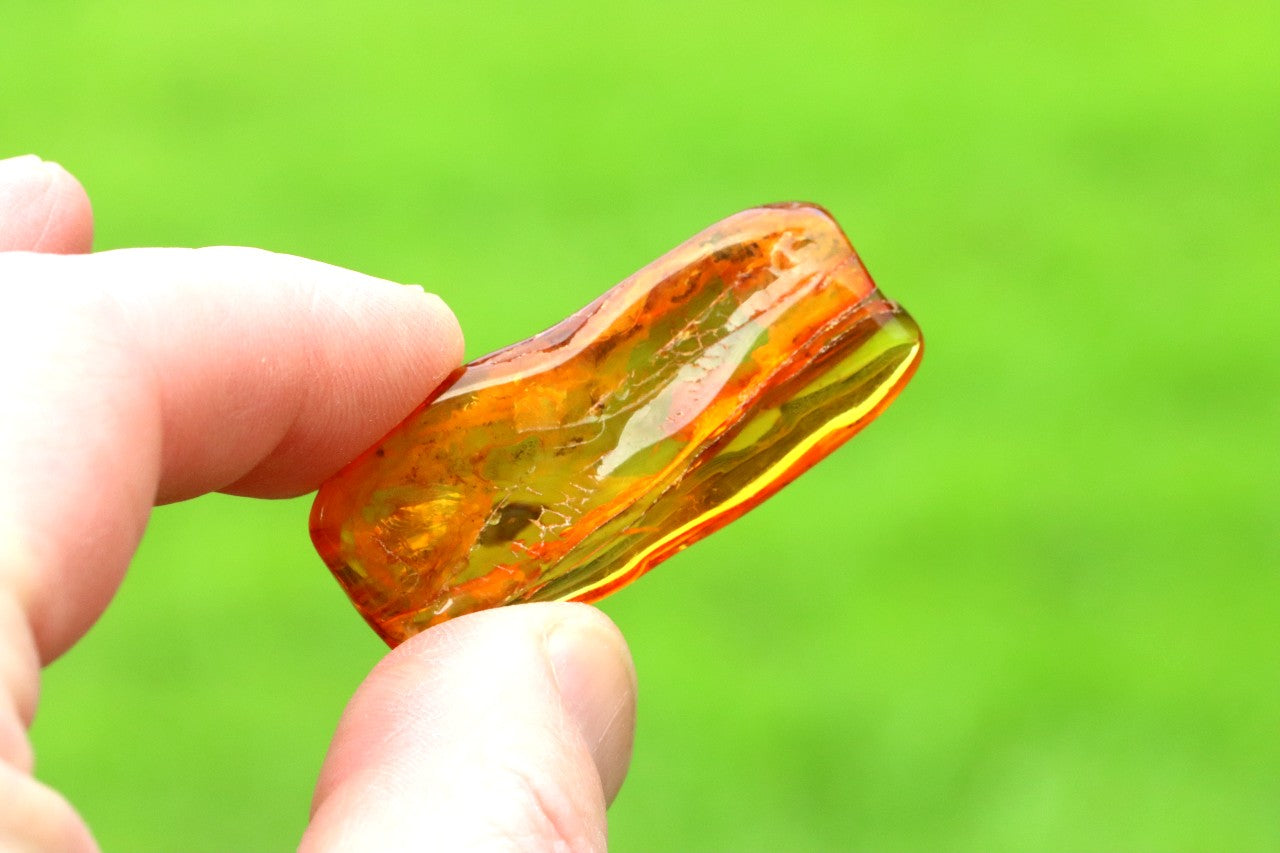 2 X Insect Inclusion in Baltic Amber – Rare Eocene Insect Fossil
