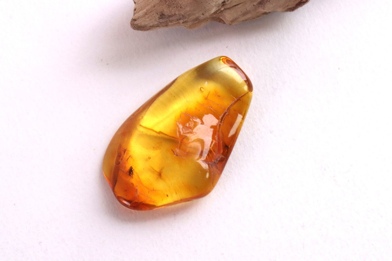 Clear Amber Gem with Fly Inclusions