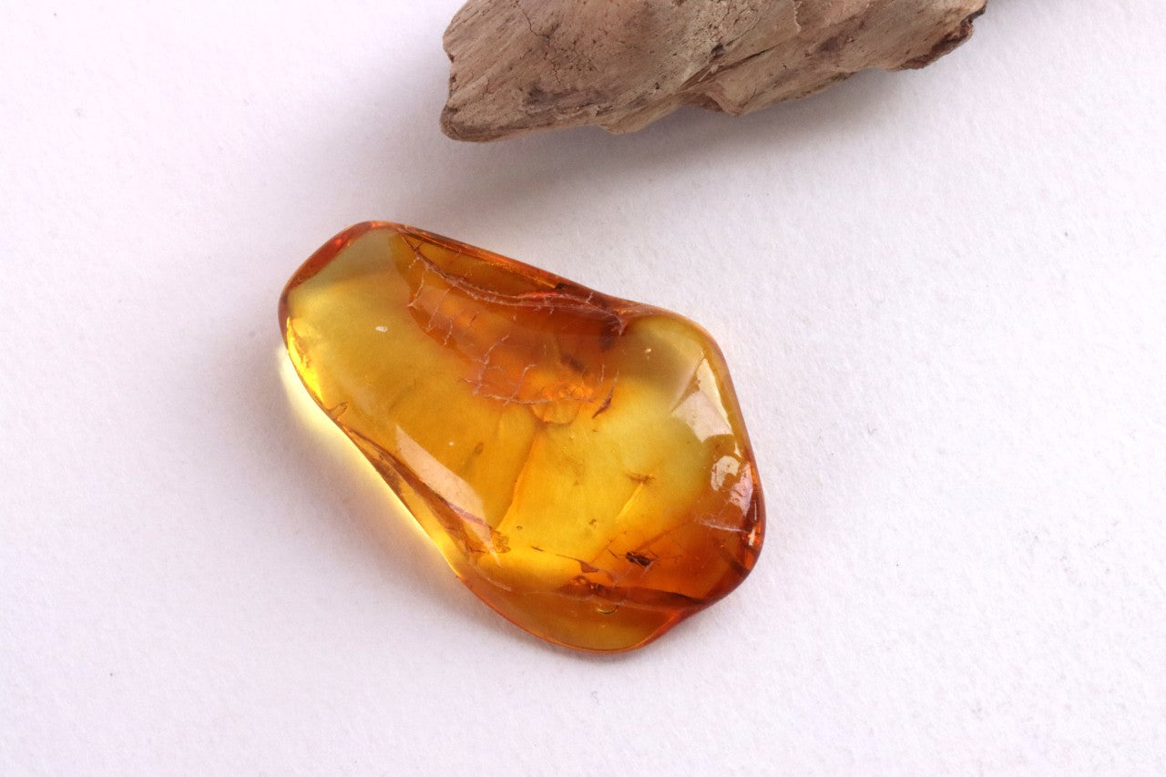 Clear Amber Gem with Fly Inclusions