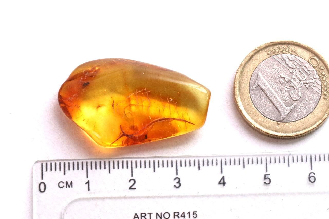 Clear Amber Gem with Fly Inclusions