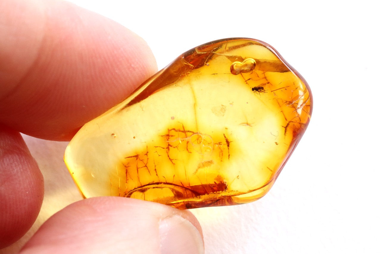 Clear Amber Gem with Fly Inclusions