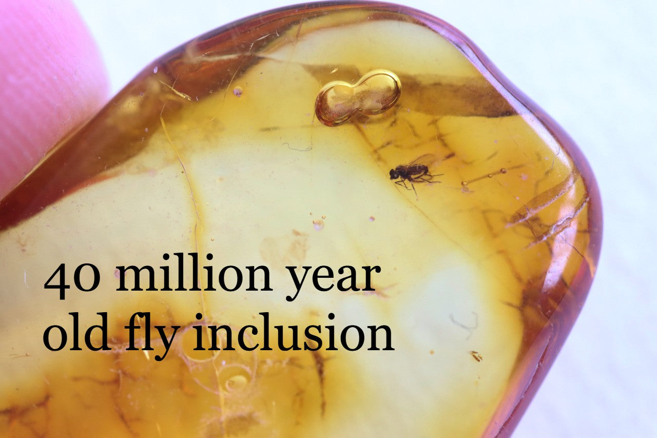 Clear Amber Gem with Fly Inclusions