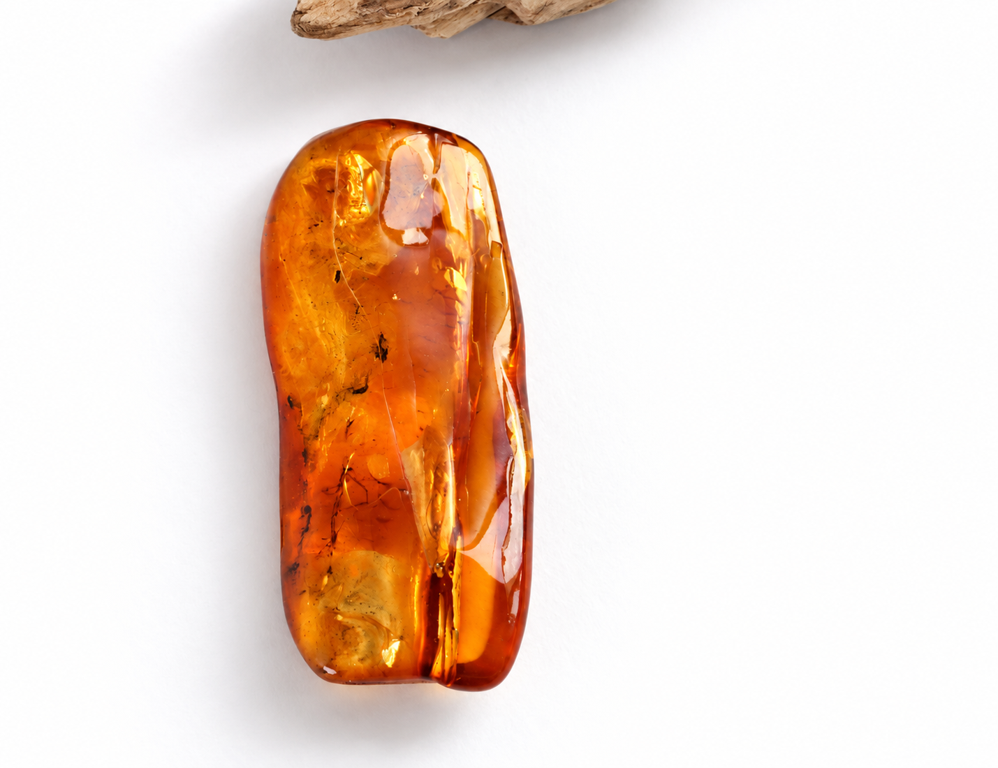 2 X Insect Inclusion in Baltic Amber – Rare Eocene Insect Fossil