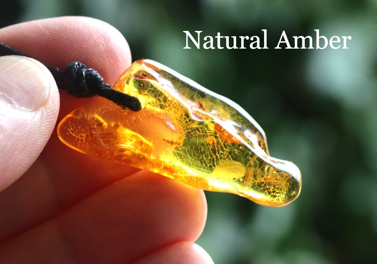 40 million year old Natural Amber Amulet With Fly Inclusion