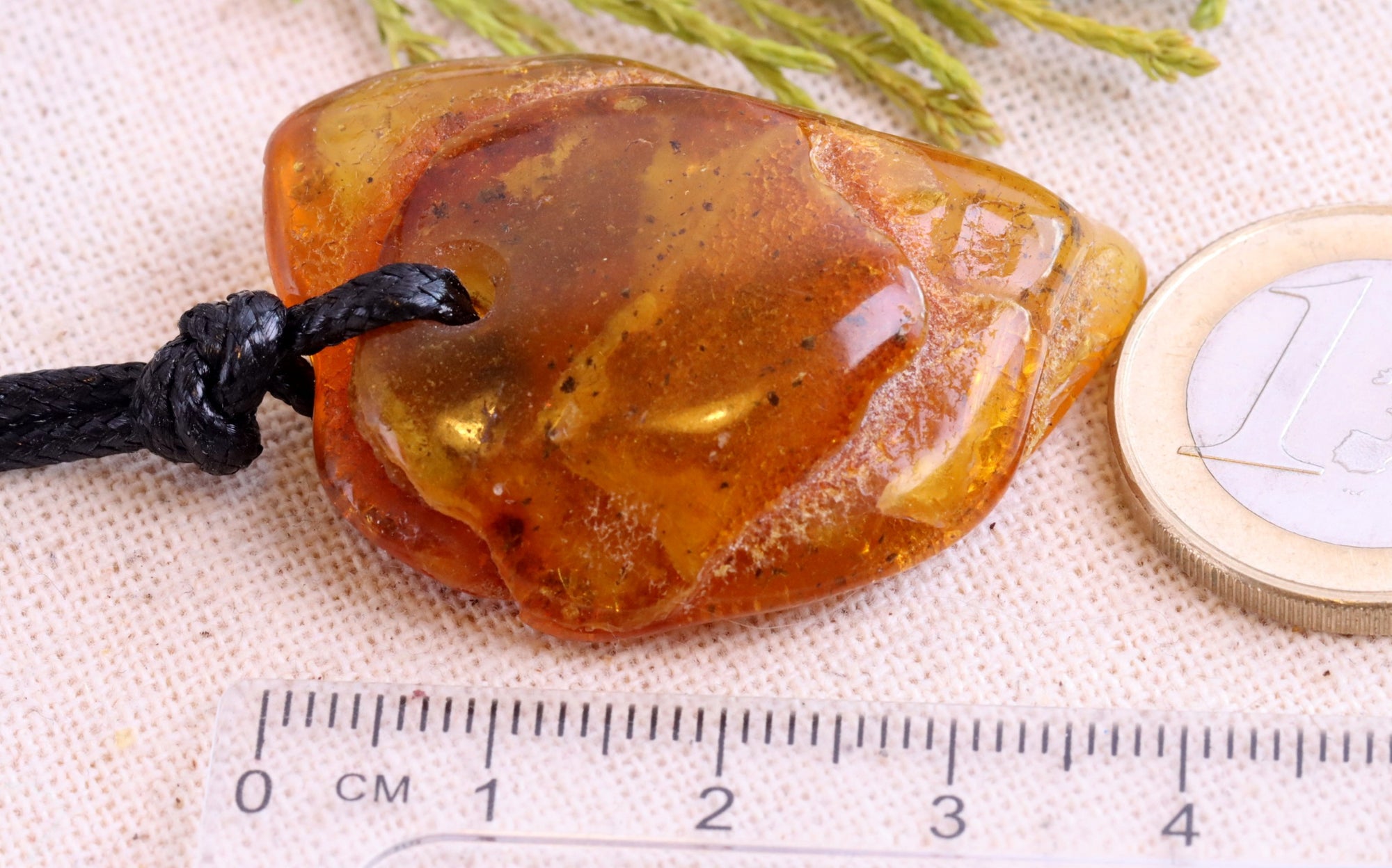 Insect in Amber 40 million year old Insect Inclusion Amulet