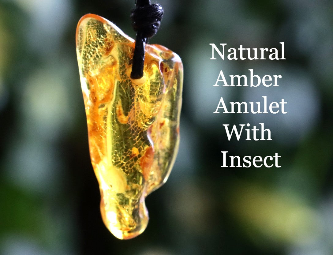 40 million year old Natural Amber Amulet With Fly Inclusion