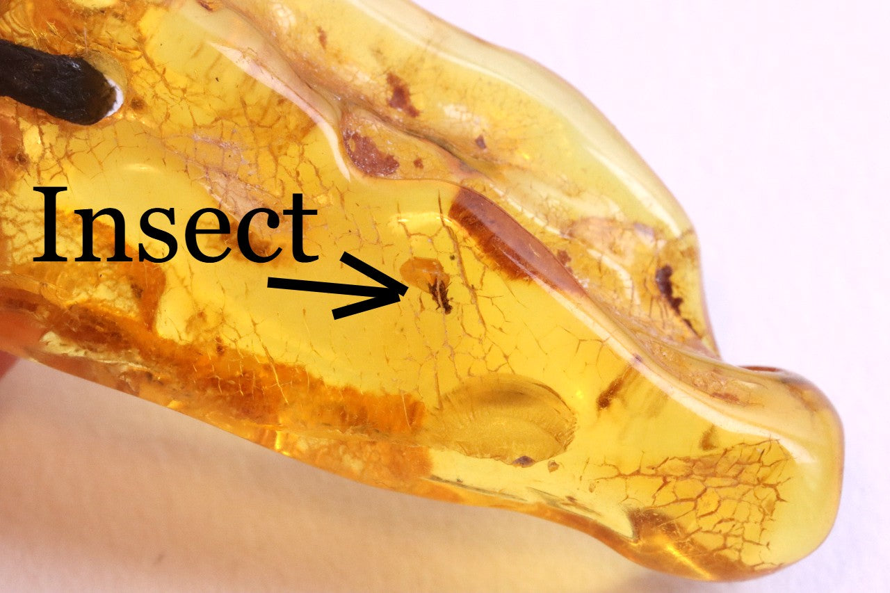 40 million year old Natural Amber Amulet With Fly Inclusion