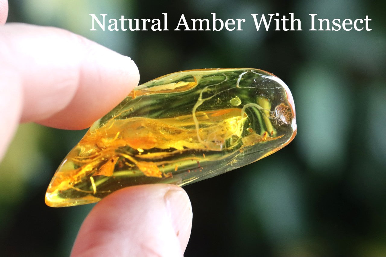 Natural Baltic Amber Gemstone with insect