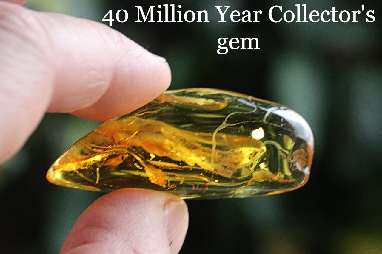 Natural Baltic Amber Gemstone with insect