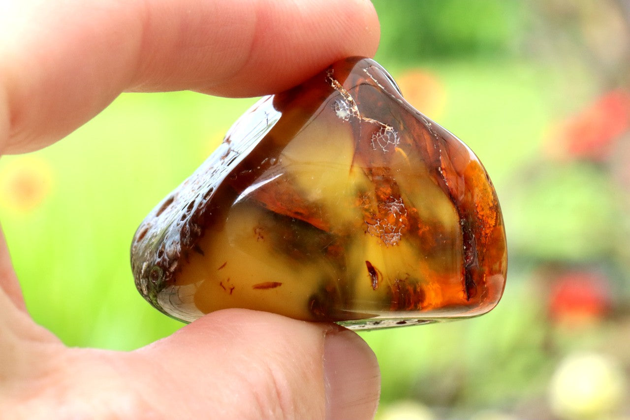 Unique Baltic Amber Gemstone Presentation Box Included
