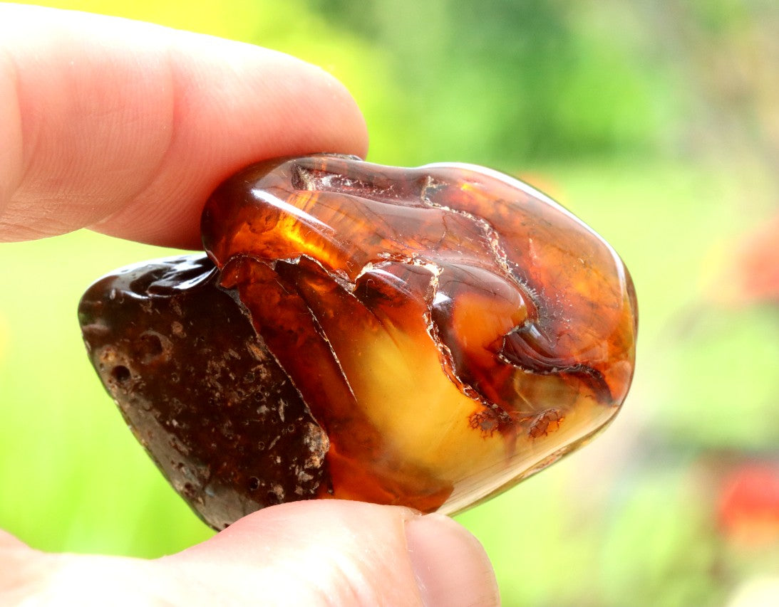 Unique Baltic Amber Gemstone Presentation Box Included