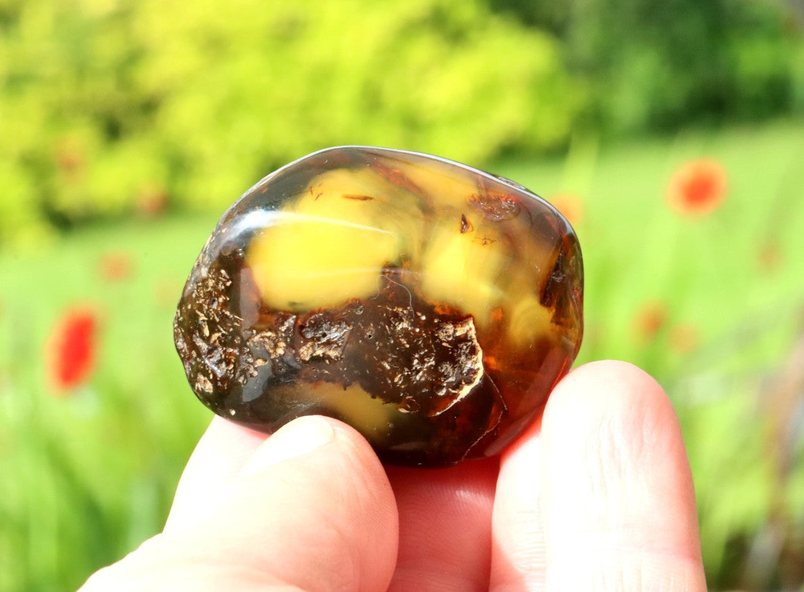 Unique Baltic Amber Gemstone Presentation Box Included